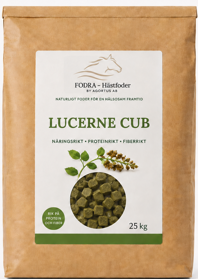 Lucerne cub